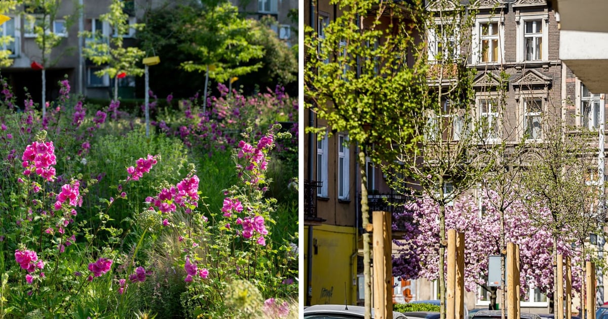 Jak we Wrocławiu metr po metrze kruszy się beton. Miasto coraz mniej szczelne