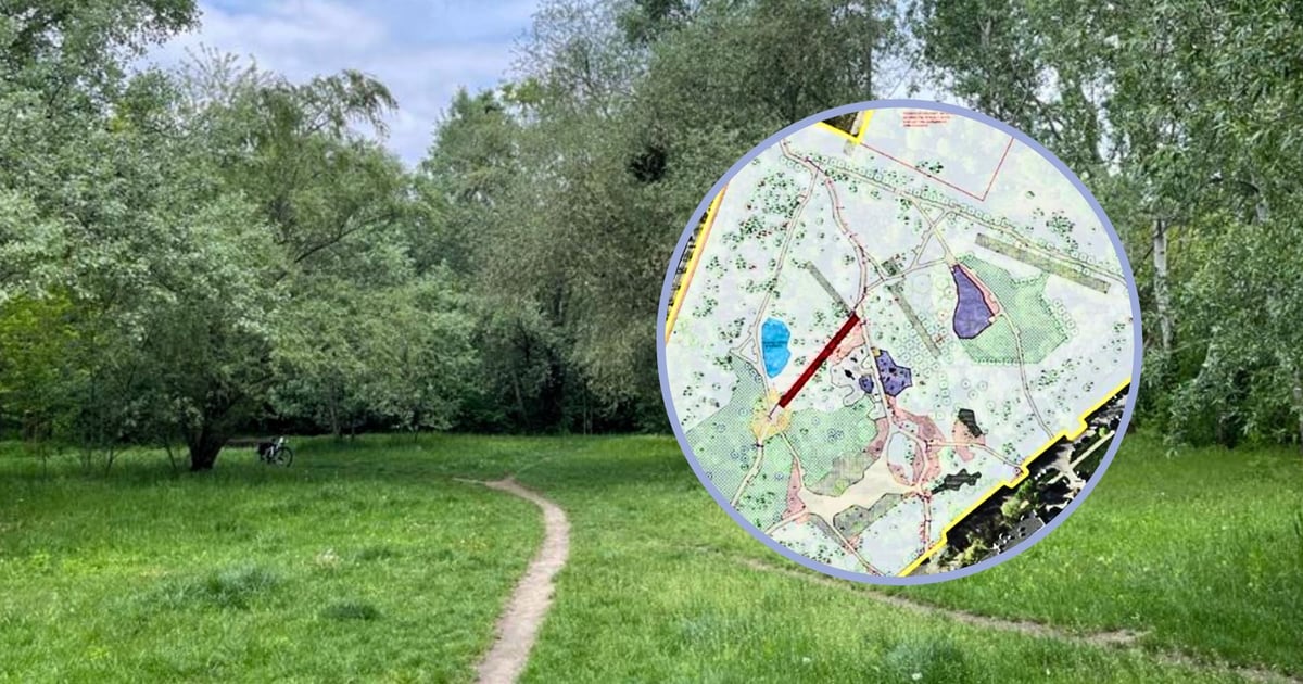 Park na Gądowie za rok wypięknieje. Na początek planują alejki