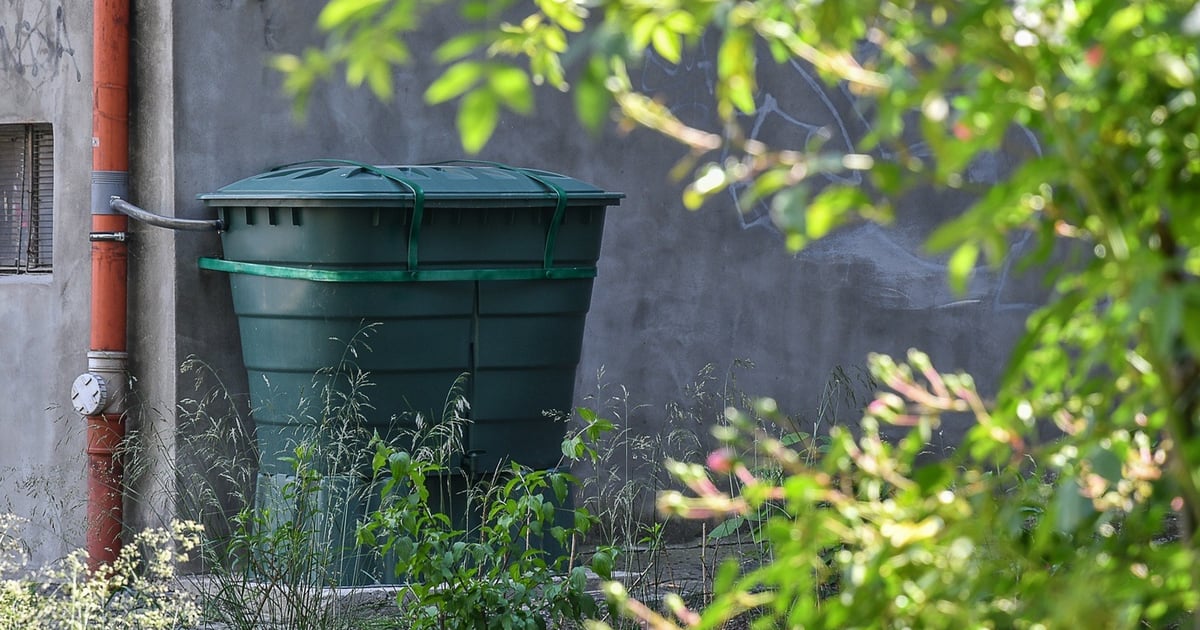 Jak deszczówka ratuje klimat? Praktyki i dobre przykłady we Wrocławiu