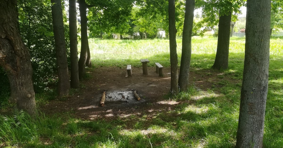 Ostrożnie w lasach! Jest sucho, a więc łatwo o pożar