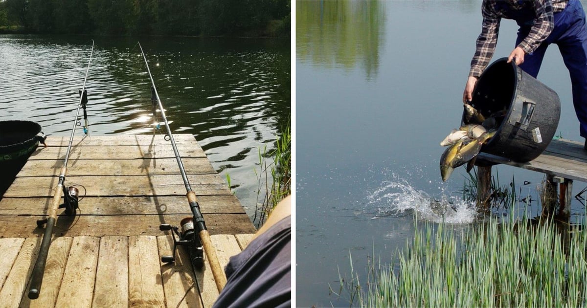 Coś dla wędkarzy. Łowisko na Gliniankach ze wsparciem Stawów Milickich