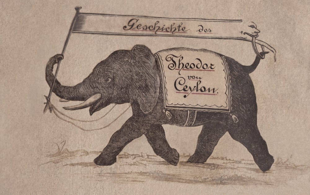 O słoniu Theodorze i ciężkich czasach. Rozmowa o historii wrocławskiego zoo