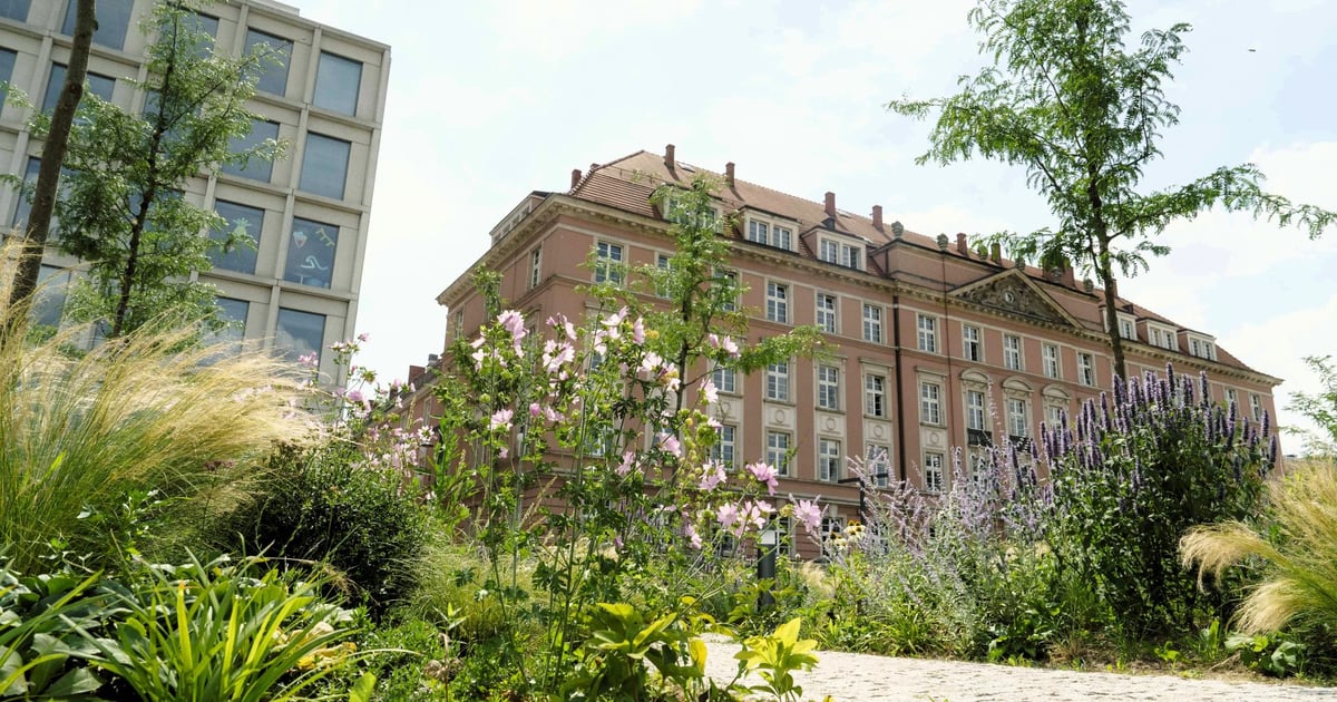 Wrocław przygotuje nowy miejski plan adaptacji