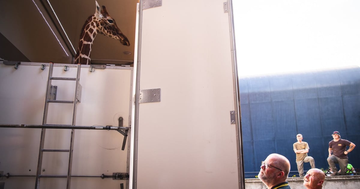 Wszystkiego dobrego na nowej drodze życia, Inuka! | ZDJĘCIA, FILM