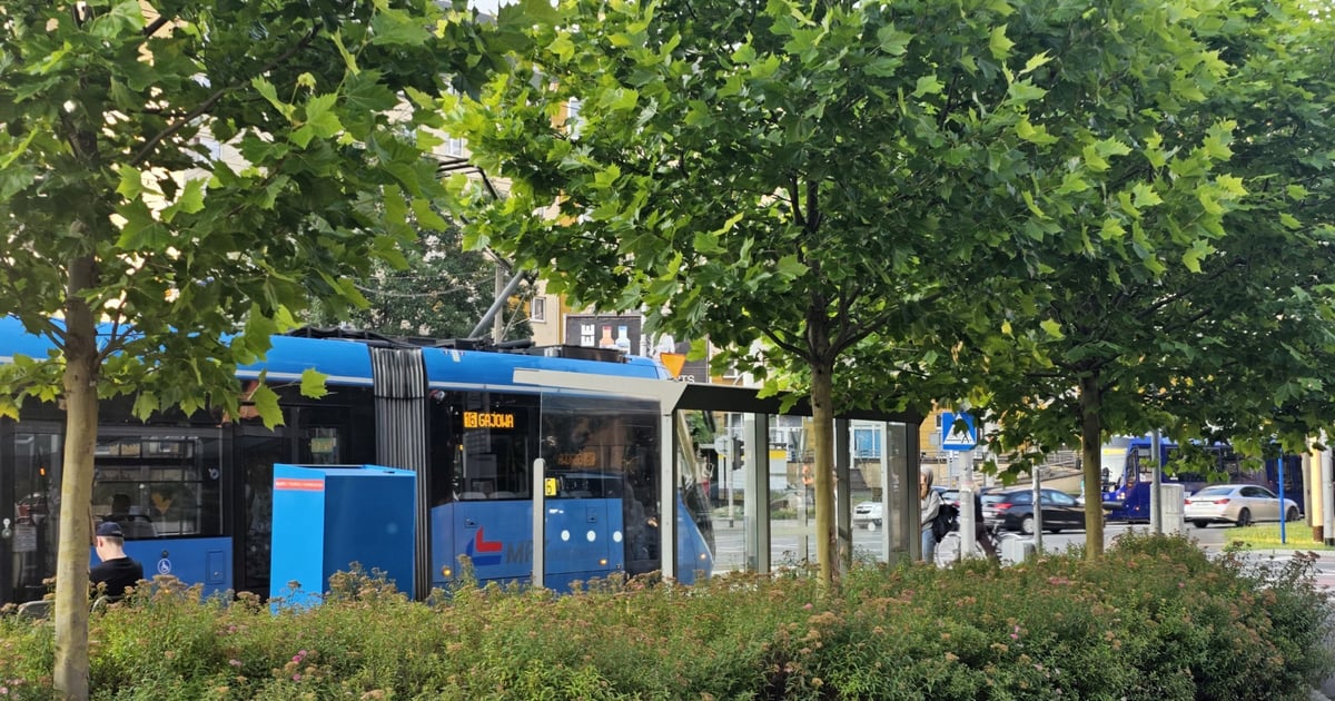 Zobaczcie kolejne zielone przystanki we Wrocławiu