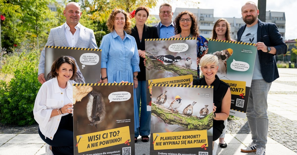 „Zróbmy miejsce dla wszystkich”. Wrocław startuje z kampanią chroniącą ptaki i nietoperze