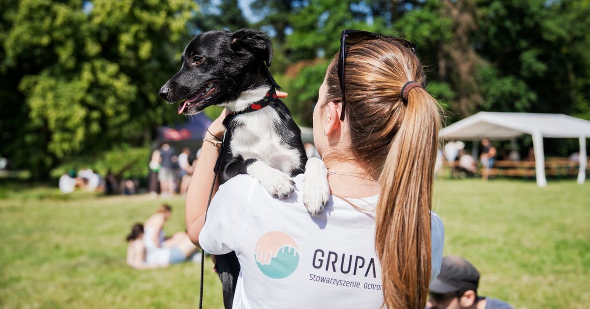 W niedzielę w parku Grabiszyńskim charytatywny Piknik Adopciaka