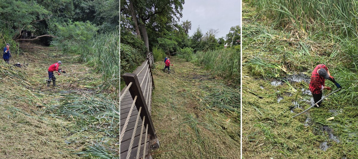 Prace porządkowe w Swojczyckim Parku Czarna Woda