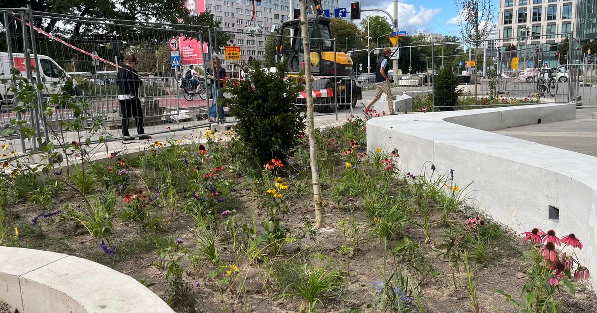 Solarna ławka i zdrój na nowym skwerze w centrum Wrocławia