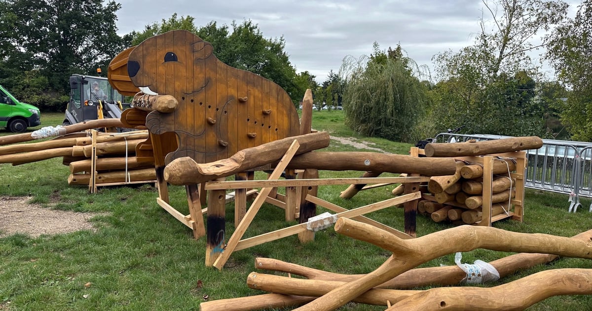 Inwazja bobrów na plac zabaw przy stawie na Maślicach