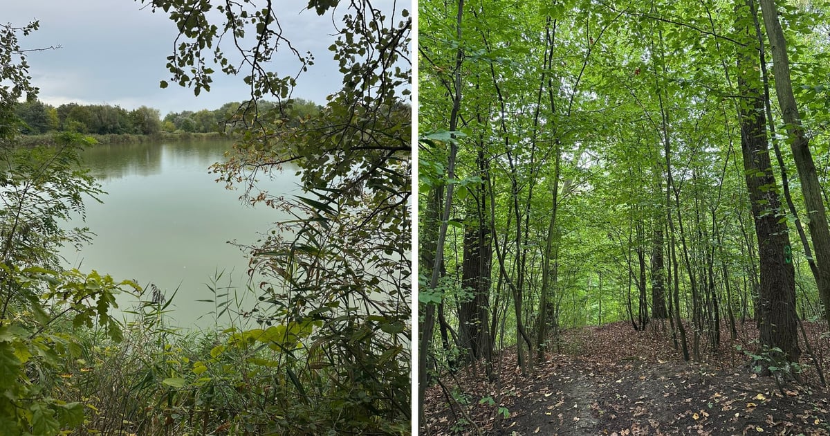 Czwarta przyroda szansą dla miast. Czym jest i jakie ma zadanie?