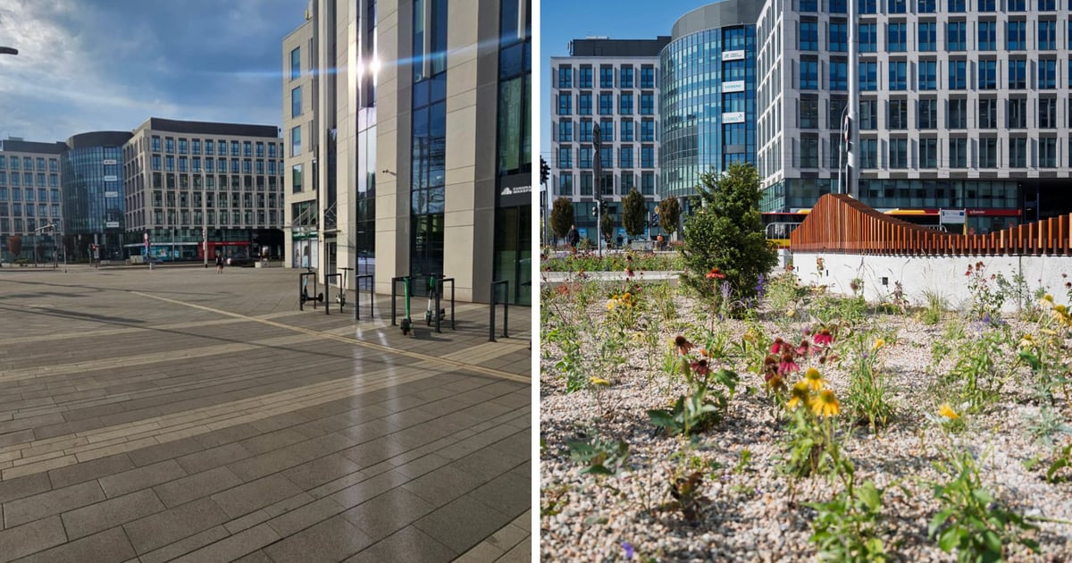 Kamienno-betonowa patelnia zniknęła z ul. Suchej. Jest zielona oaza