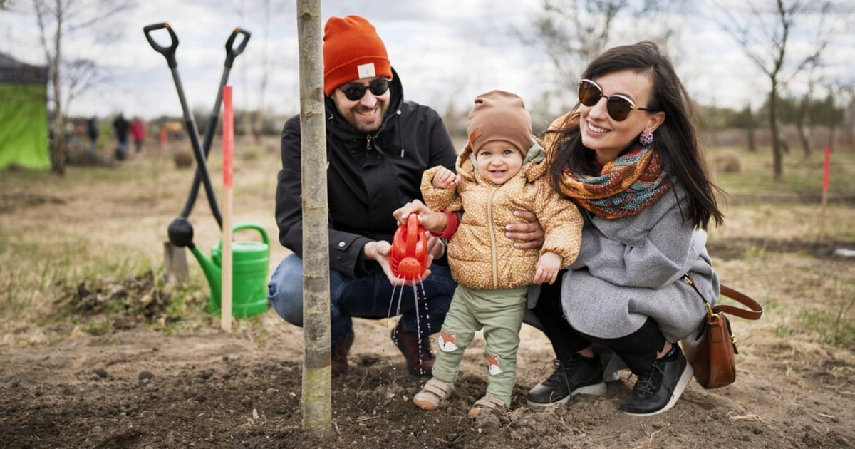 Posadź drzewko dla swojego dziecka. Ruszają zapisy do WROśnij we WROcław