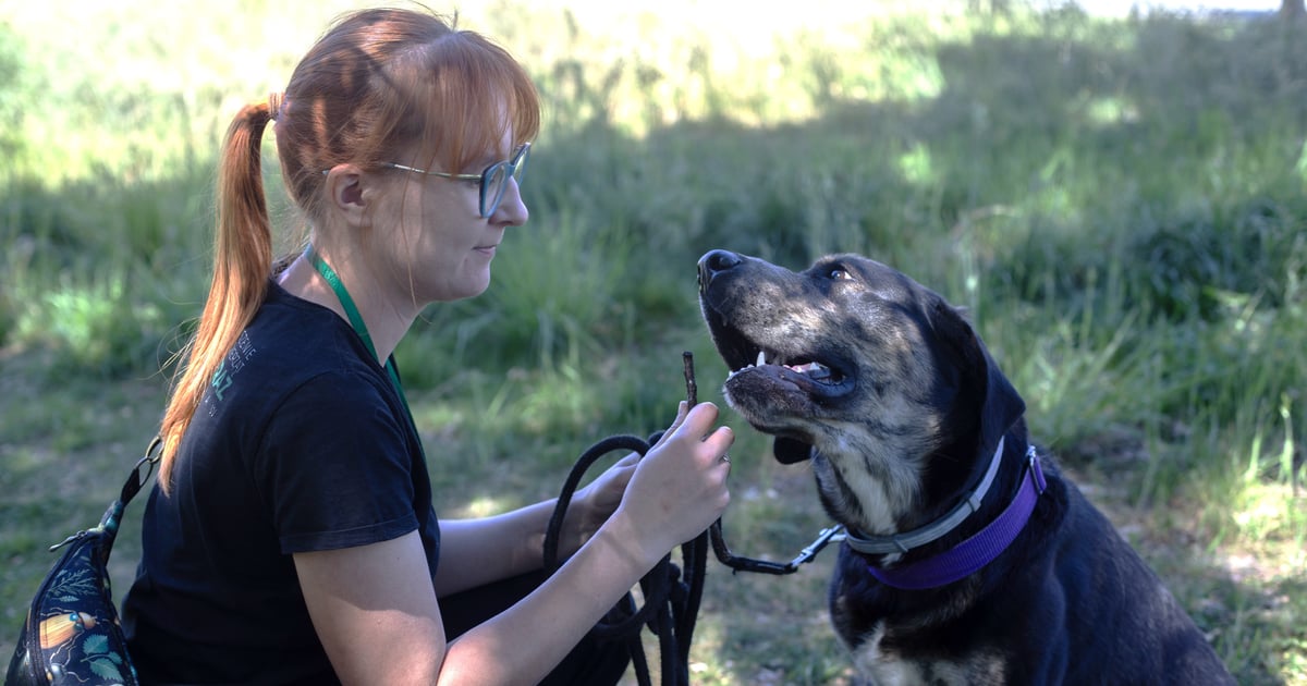 W niedzielę Dni Otwarte Wolontariatu w Ekostraży. Możesz dołączyć do teamu
