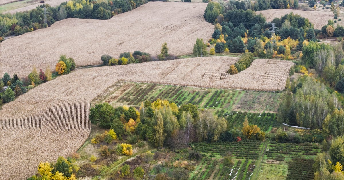 Na wschodzie miasta będzie nowy park. Jak go urządzić?