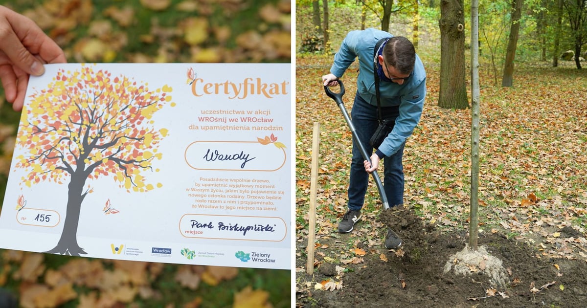 Jesienna edycja WROśnij we WROcław w parku Biskupińskim [ZDJĘCIA]