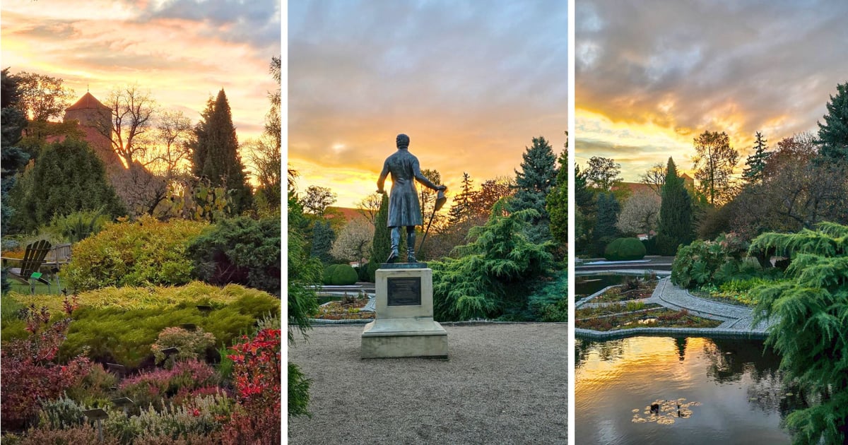 Jeszcze tylko 5 dni na zwiedzanie! Ogród Botaniczny kończy sezon i wygląda jak z bajki
