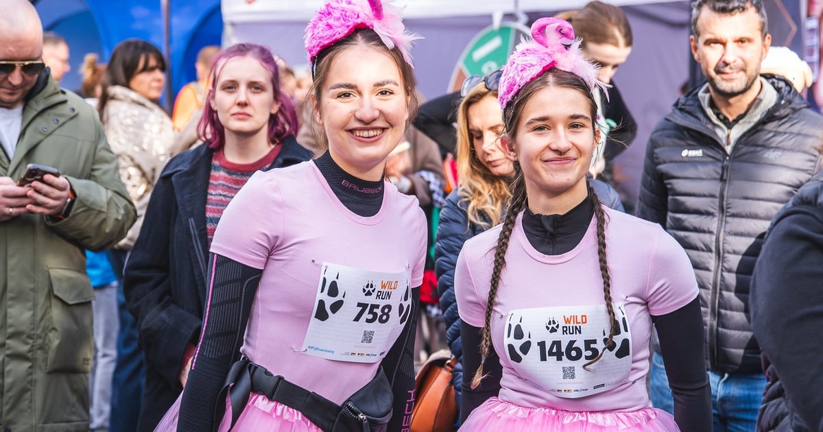 Wild Run 2025 z rekordem! Prawie 116 tys. dla rysi, wilków i żubrów