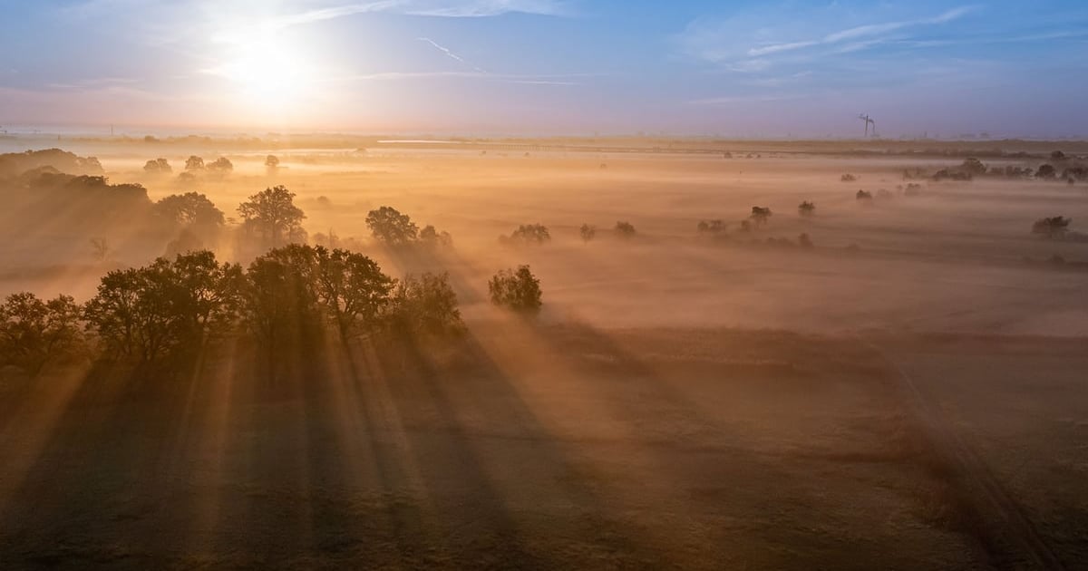 Pierwszy we Wrocławiu rezerwat przyrody coraz bliżej. List intencyjny podpisany