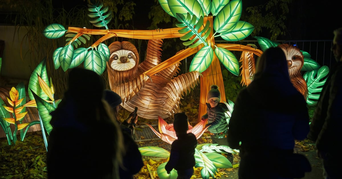 Garden of Lights-Ogród Świateł startuje w ZOO 31.10 | ZDJĘCIA, CENY BILETÓW