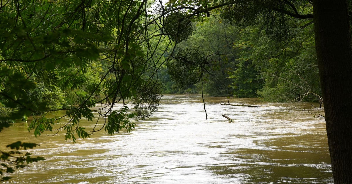 Wysoki stan wody w Ślęzie na południe od Wrocławia