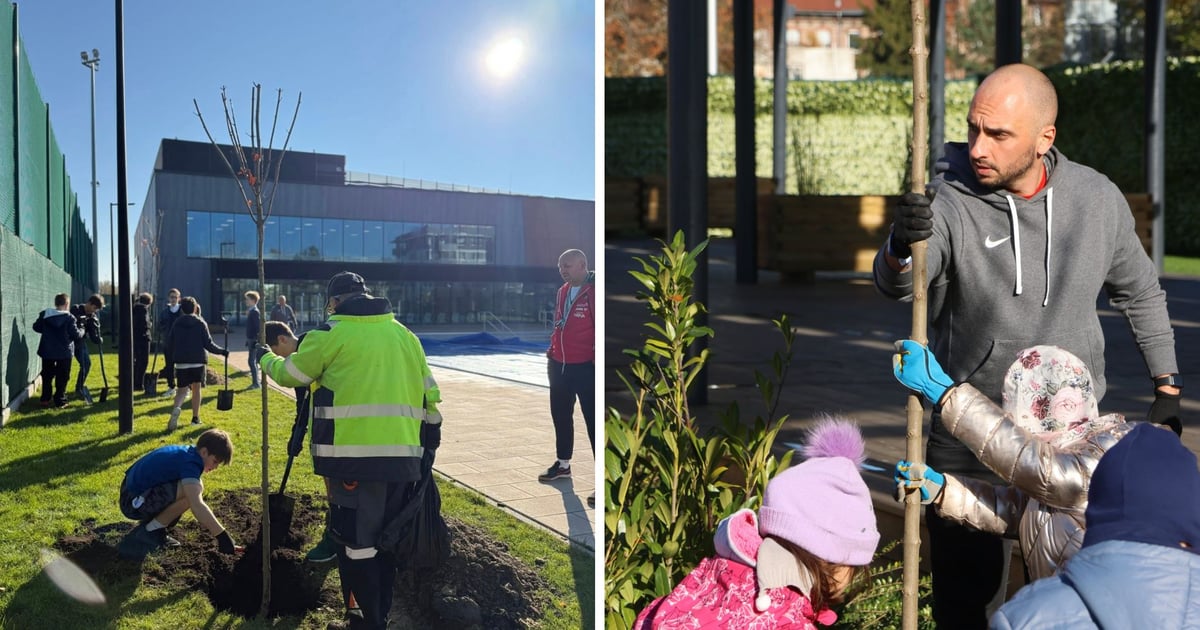 Klony zamiast betonu – setne drzewo posadzone przy aquaparku
