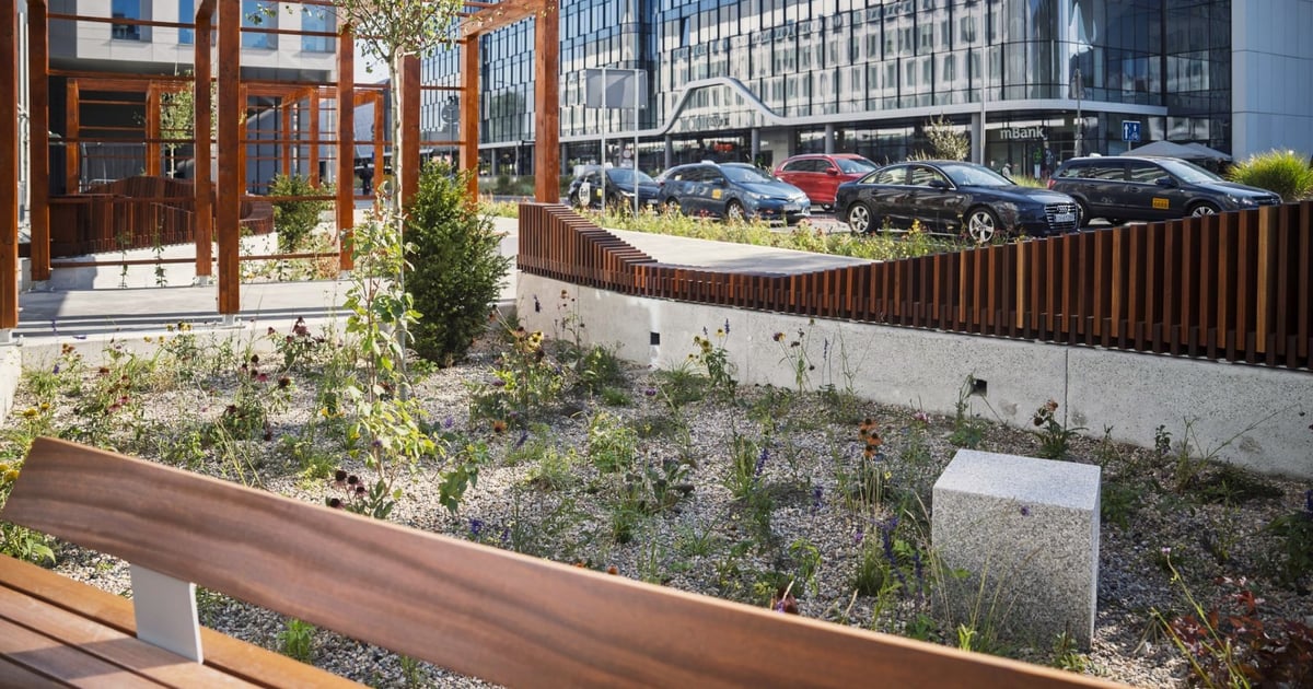 Jak Wrocław przygotowuje się na zmiany klimatu? Będzie mieć plan