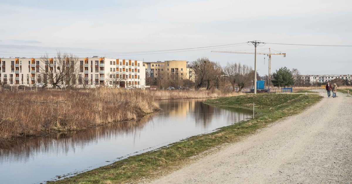 Wysoki stan wody w Widawie. Ostrzeżenie hydrologiczne
