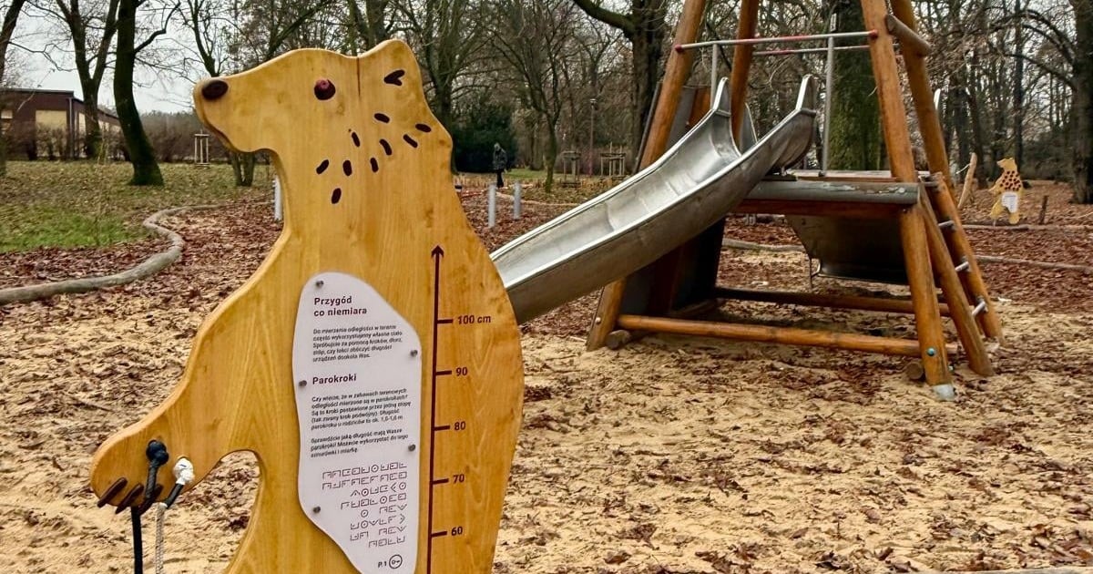 Niedźwiadki, hamaki i tory przeszkód w Parku Andersa | GALERIA ZDJĘĆ