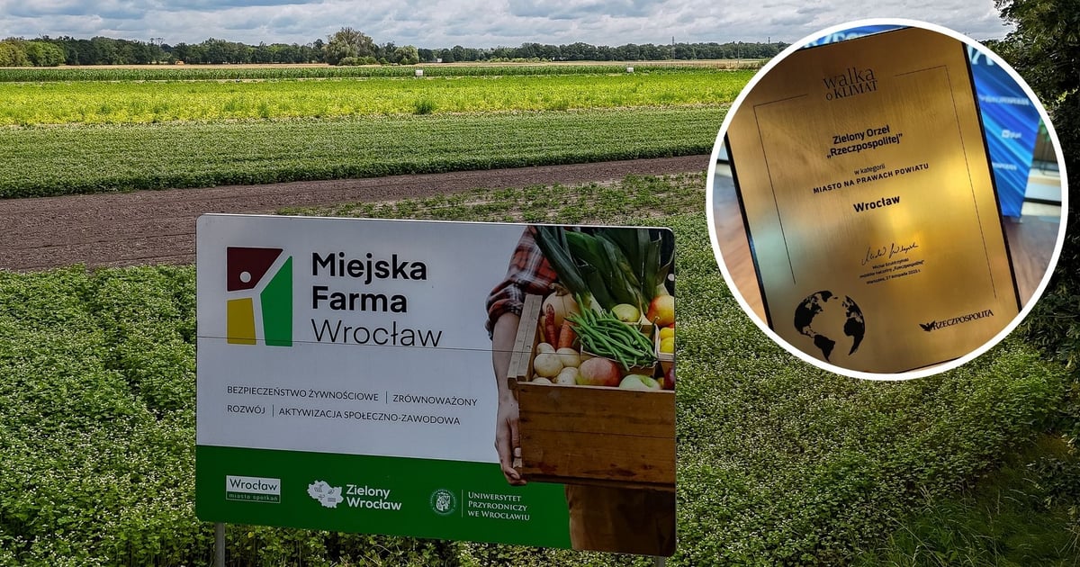 Prestiżowa nagroda dla Wrocławia. Za połączenie ekologii i wsparcia społecznego