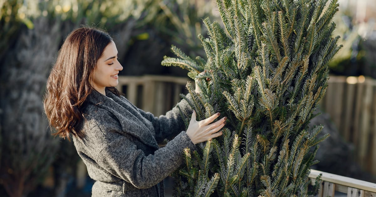 Co zrobić z choinką po świętach? Jak sadzić, gdzie wyrzucić?