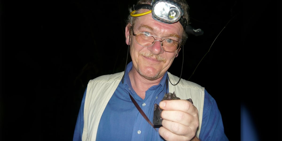 Kłopoty w nietoperzowym raju. Naukowcy z Wrocławia szukają rozwiązania