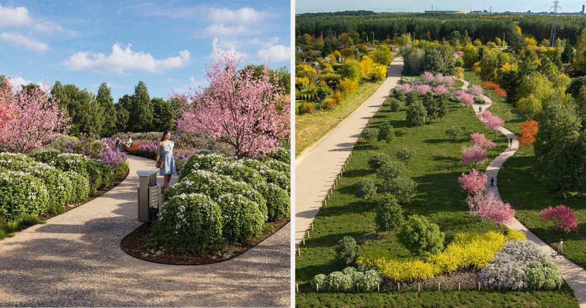 Na Stabłowicach powstanie przestrzeń pełna kwiatów | WIZUALIZACJE