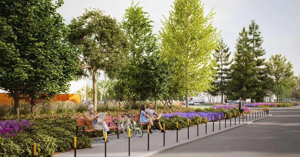 Kolejny skrawek Tarnogaju będzie bardziej zielony. Szykują się nowe nasadzenia