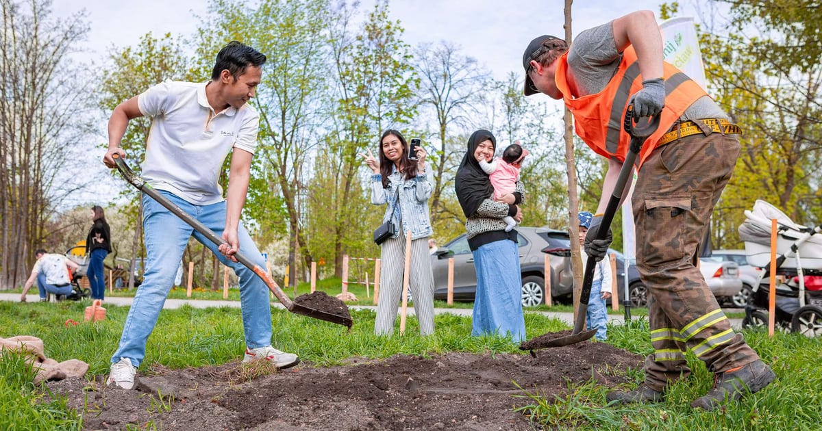 Posadź dziecku drzewko. realizowane są zapisy na WROśnij we WROcław