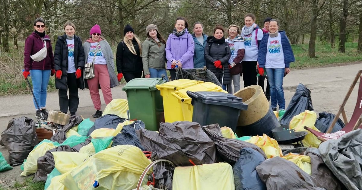 Razem sprzątali brzegi rzeki. Akcja Czysta Odra już we Wrocławiu | ZDJĘCIA