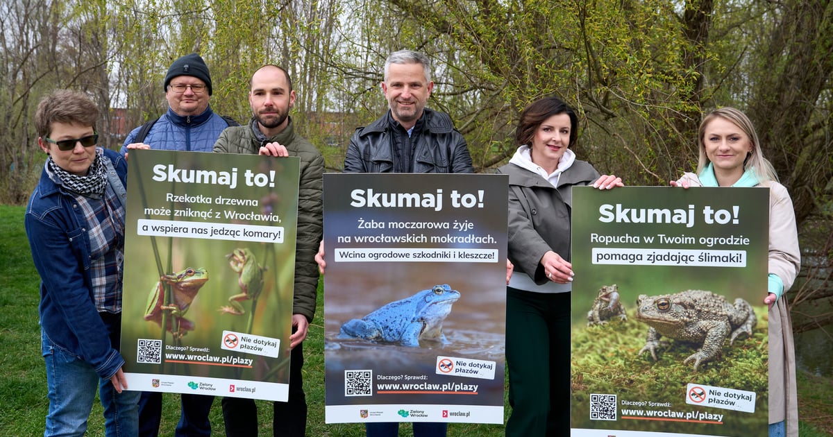 „Skumaj to!”. We Wrocławiu wystartowała kampania ochrony płazów, w tym żab, ropuch i traszek