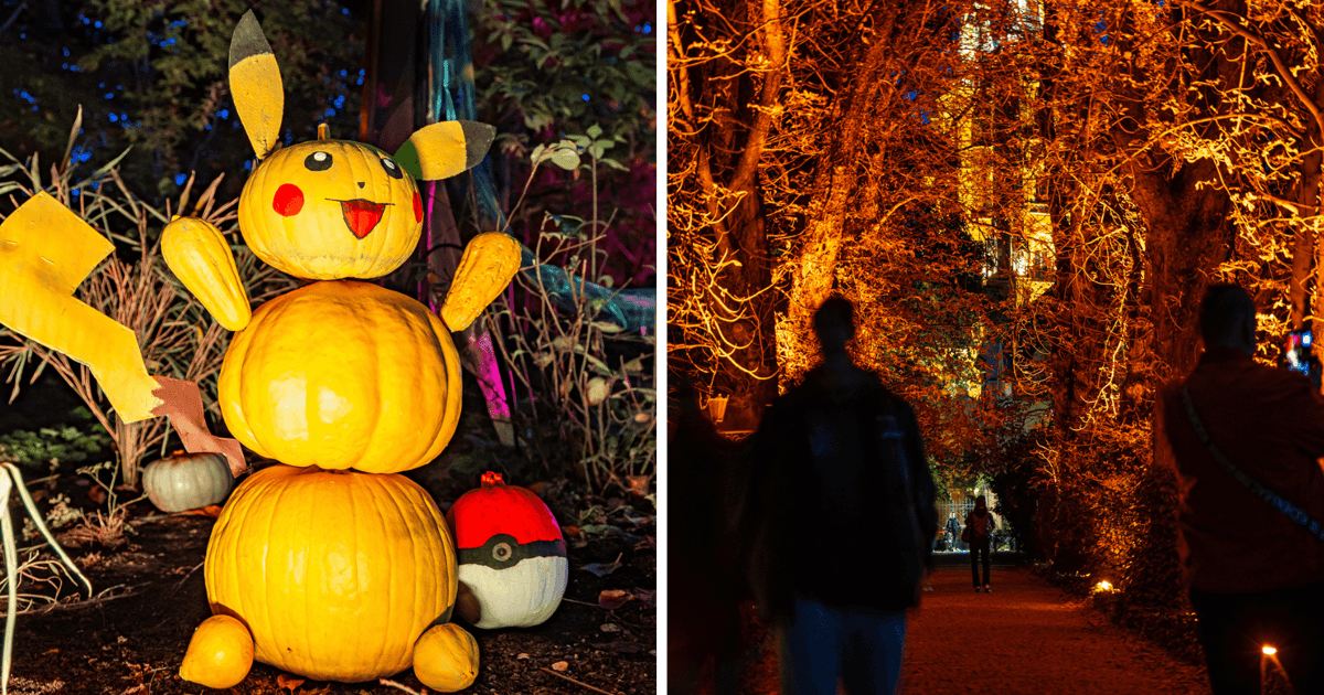 Ależ magia! Dyniowe Iluminacje rozświetliły Ogród Botaniczny we Wrocławiu