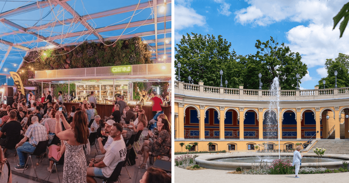 Kino plenerowe we Wrocławiu. Gdzie pójść na darmowy film? | REPERTUAR