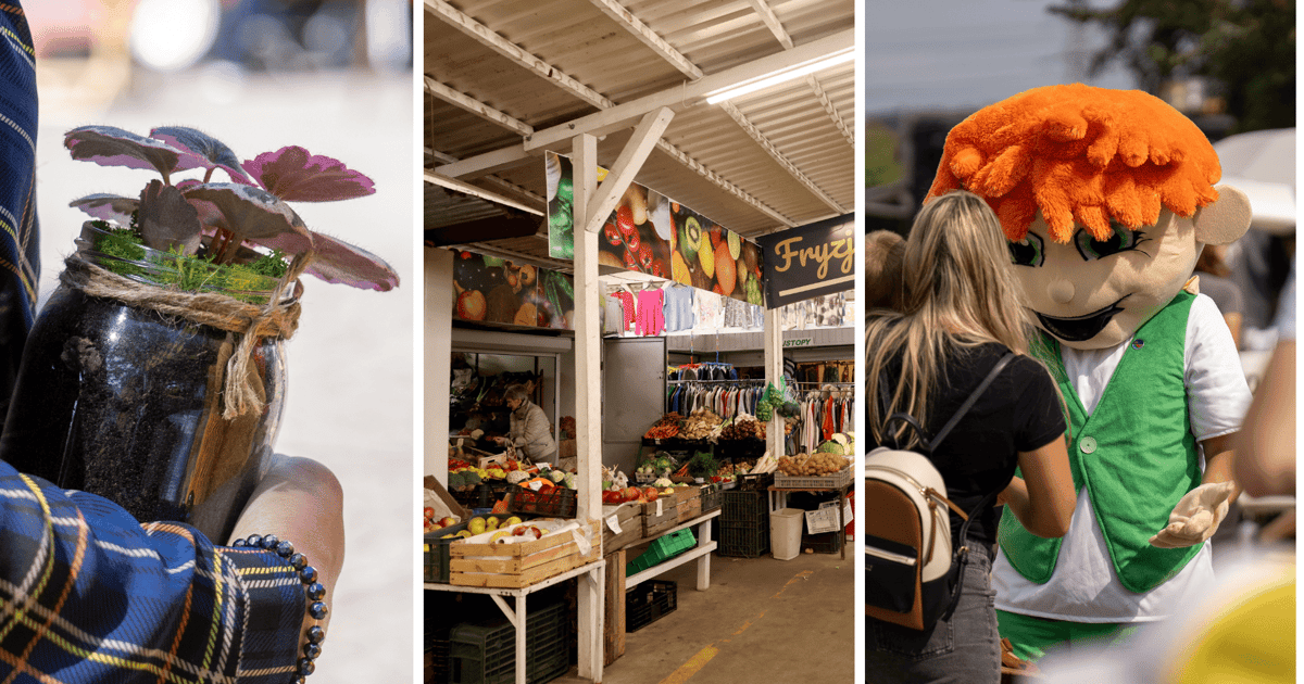 Zielone Targowisko na Niedźwiedziej. Będzie konkurs i wymiana ubrań