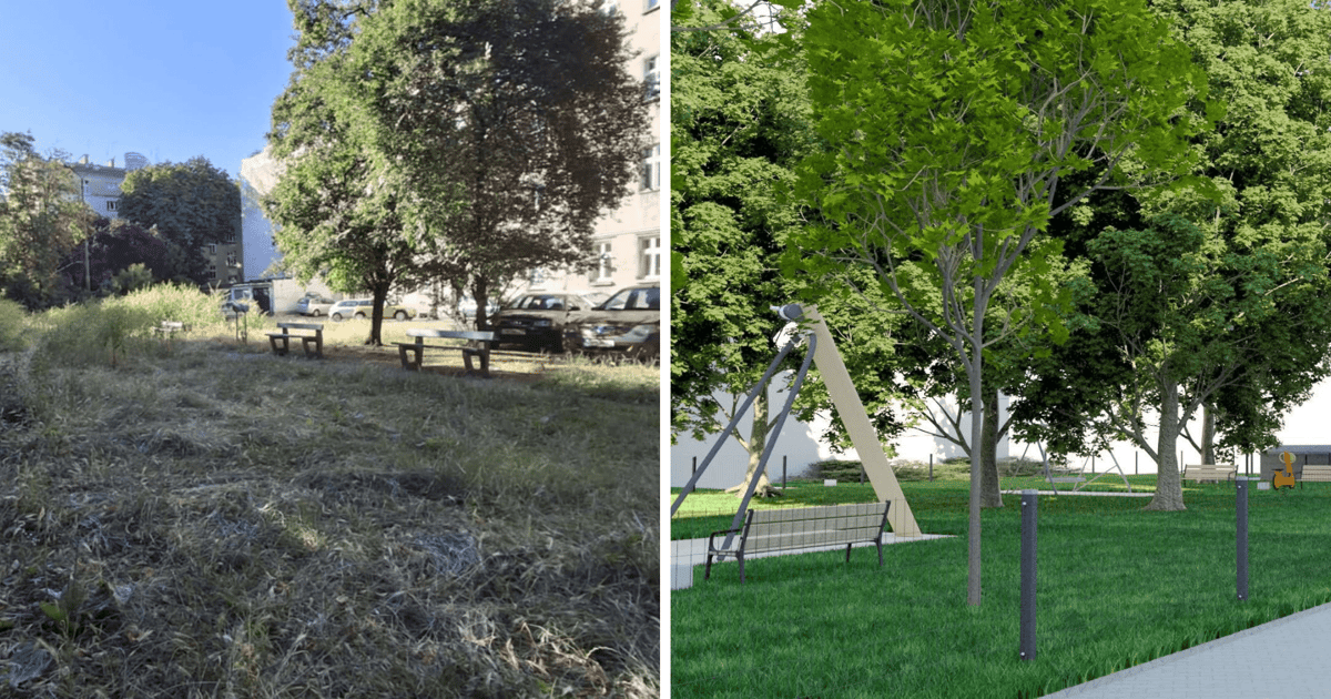 Zjazd linowy i różana rabata. Remont podwórka na Gajowicach