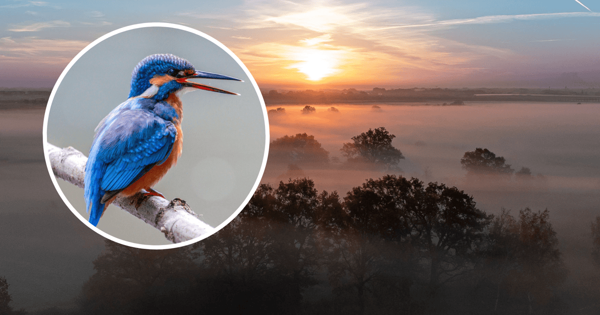 Wrocław jest dla dzikich zwierząt lepszym miejscem do życia niż wiele terenów wiejskich [ROZMOWA]