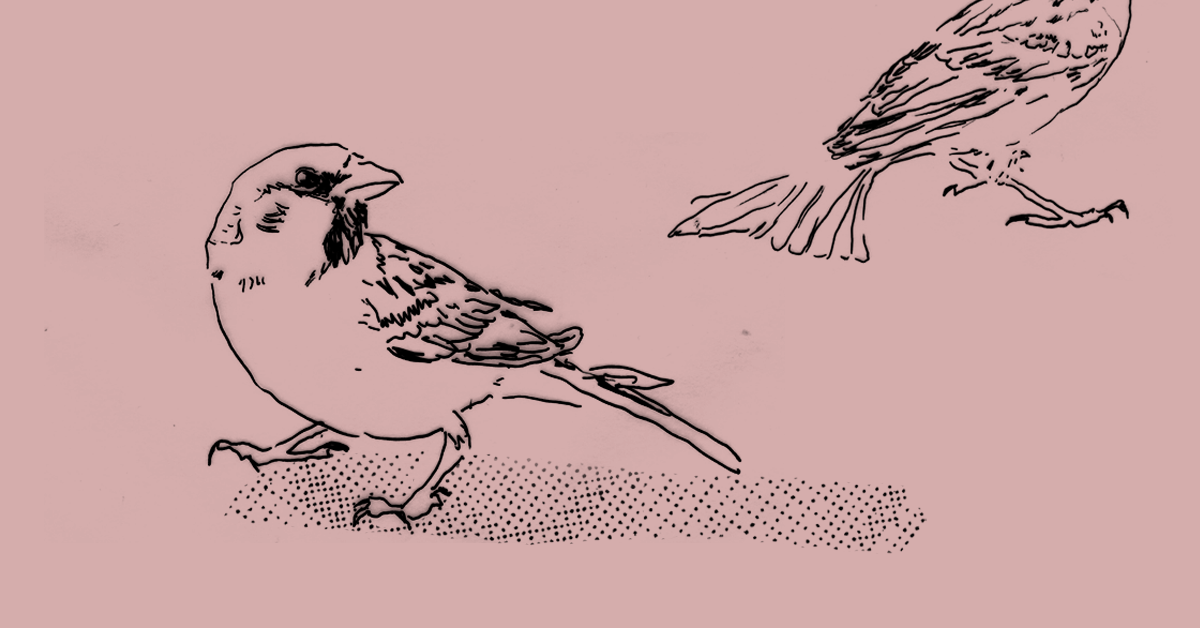 Jak odnowić podwórko przy Krynickiej 54-92?