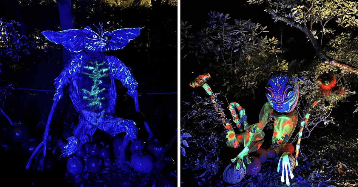 Ale kosmos! Dyniowe iluminacje w Ogrodzie Botanicznym z Mistrzem Yodą i robotami