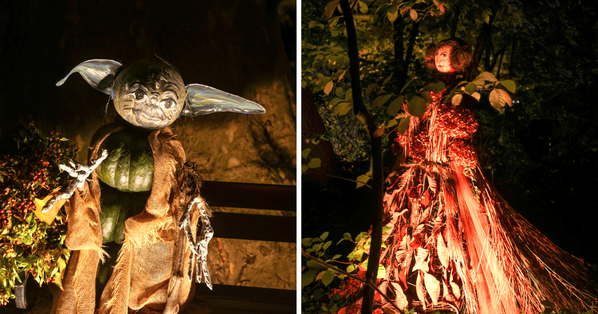 Dyniowe iluminacje. Nocą Ogród Botaniczny zmienia się w kosmiczną krainę