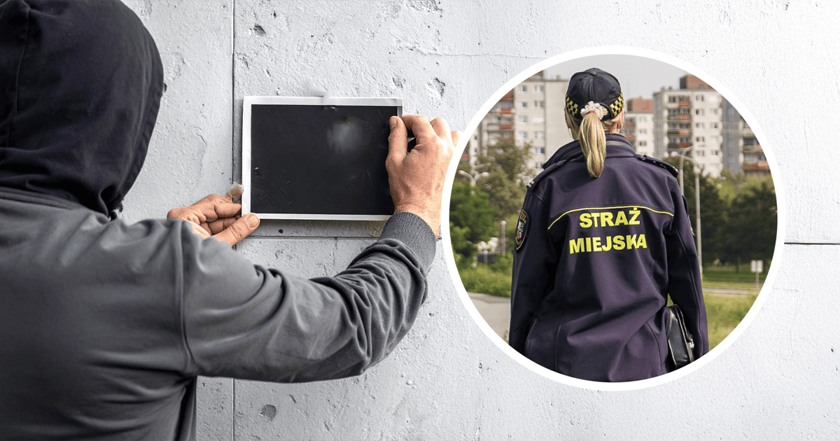 Atak na miejską strażniczkę we Wrocławiu. Pani Ewa została uderzona w głowę