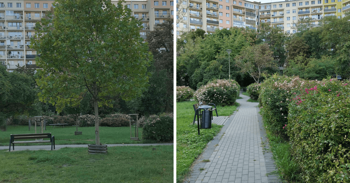 Między blokami też są podwórka. To na Krynickiej niedługo się zmieni
