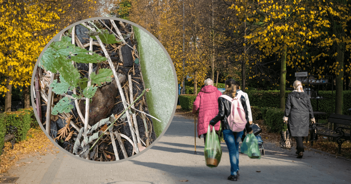 Uwaga! Bramka na cmentarz Osobowicki zamknięta. Saperzy podejmą niewybuch