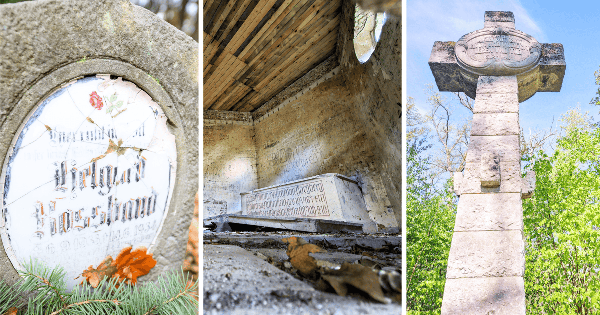 Groby, mauzolea, cmentarze w środku lasu nieopodal Wrocławia. Znasz je?