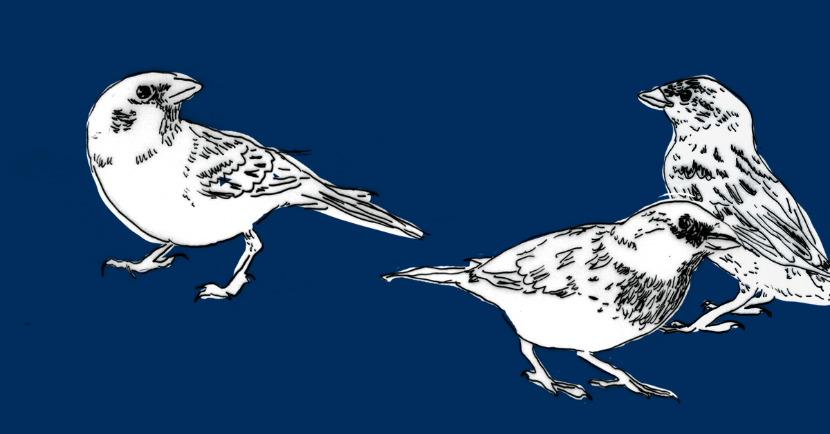 Jak pojedzie tramwaj przez Klecinę? Podsumowanie konsultacji społecznych. Spotkanie informacyjne.